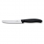 Zestaw noży kuchennych Swiss Classic 6.7133.7G-7825