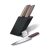 Zestaw noży kuchennych 6.7186.66 Swiss Modern -9051