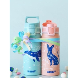 SIGG Butelka WMB One My Universe 0.6L 6005.10-13733