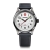 Zegarek Wenger Terragraph 01.0541.126